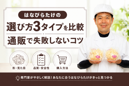 はなびらたけの選び方3タイプを比較｜通販で失敗しないコツ