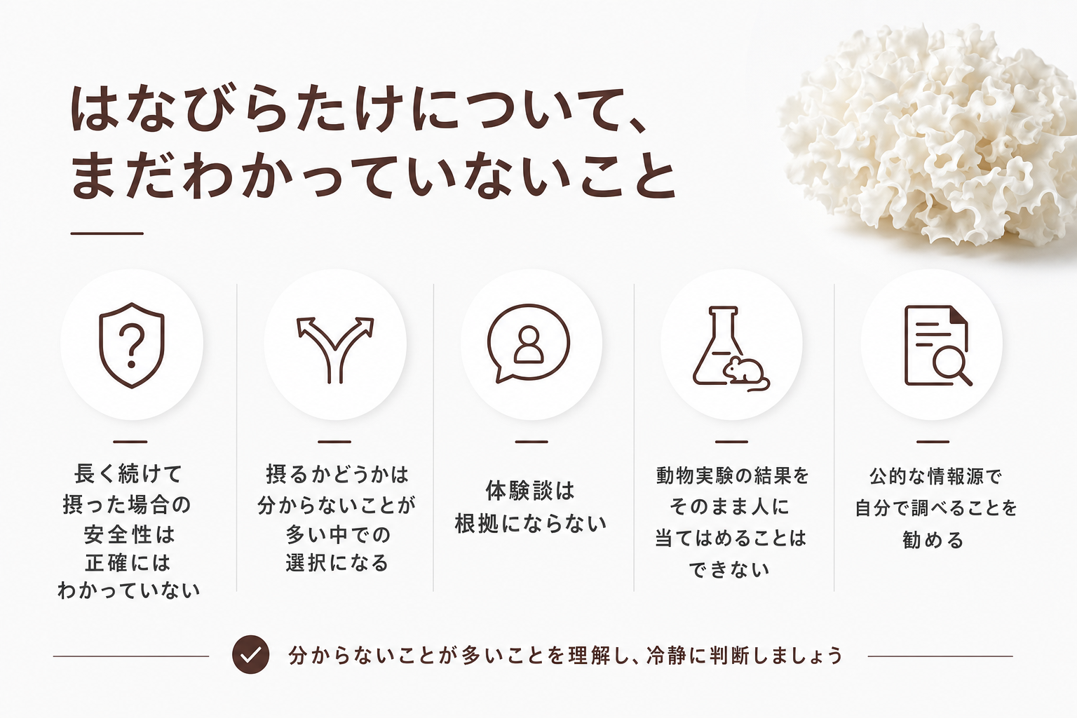 はなびらたけについて、まだわかっていないこと