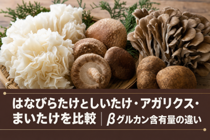 はなびらたけとしいたけ・アガリクス・まいたけを比較｜βグルカン含有量の違い