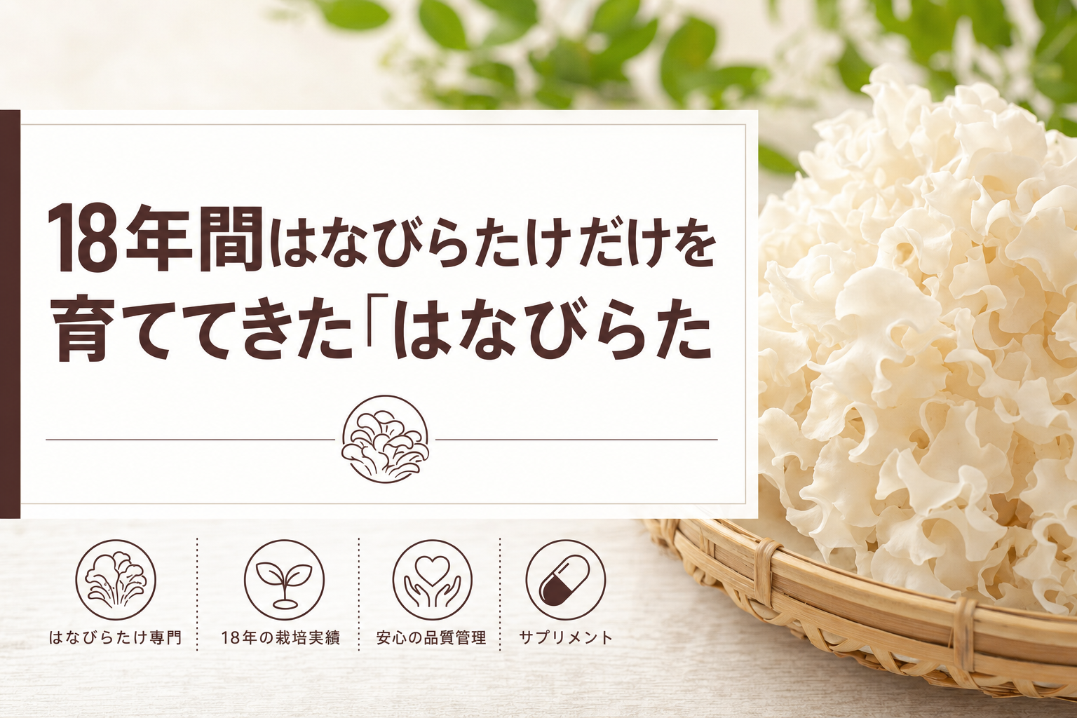 18年間はなびらたけだけを育ててきた「はなびらたけ元気」のサプリ