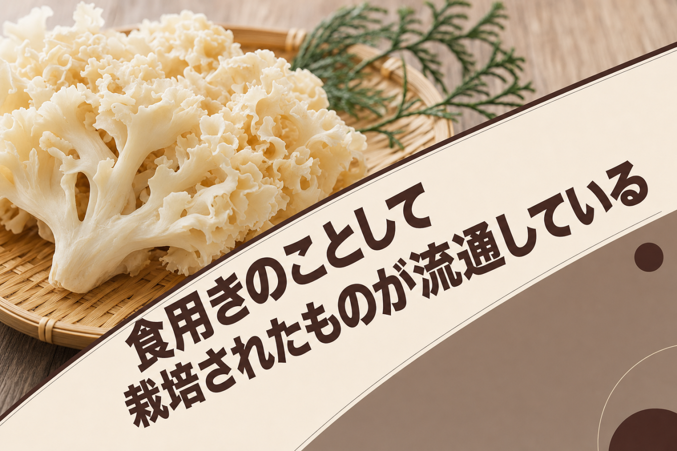 食用きのことして栽培されたものが流通している